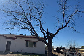 632840732_886877994317322_8753583548098037560_n (1).jpg