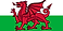 Flag_of_the_United_Kingdom_(1-2).svg.webp