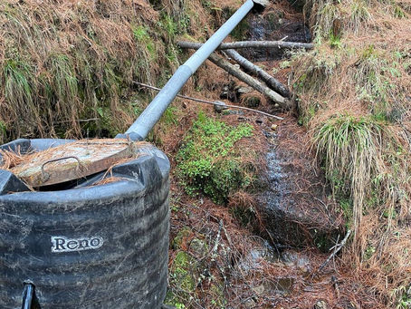 How safe is the treatment of our drinking water?