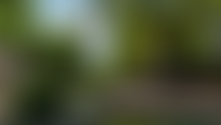 Places to visit in London now Covid-19 restrictions are relaxing