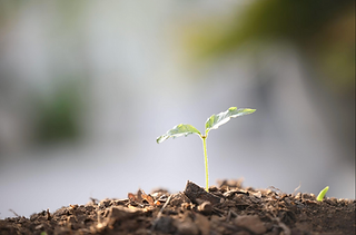 Screenshot 2026-04-18 at 19.35.17.png