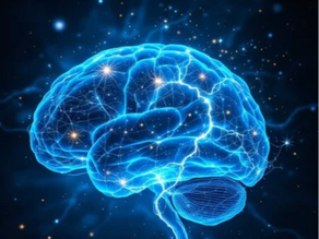 Transition(s) de vie - effets neurobiologiques