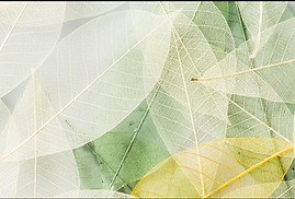 Screenshot 2026-04-18 at 19.31.25.png