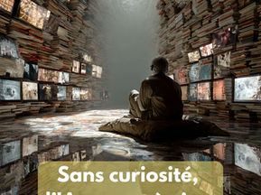 Curiosité et IA