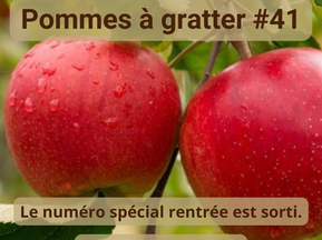 Pommes à gratter #41