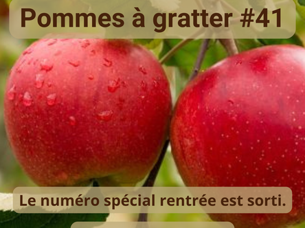 Pommes à gratter #41