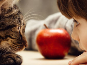 Épisode 2. Série 2026 : la curiosité en entreprise