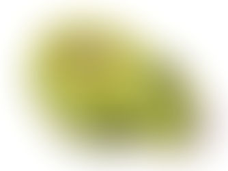 En 2022, cultivons ensemble le champ des futurs possibles