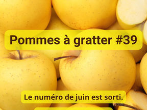 Pommes à gratter