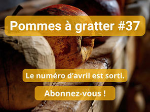 Newsletter Pommes à gratter #37