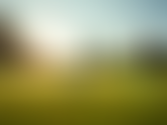 Tee Off at Herritage : Highlights from the Woori Yallock Football Netball Club Annual Golf Day