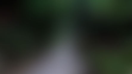 Coloring outside the lines