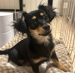 7NvznJ8kzInSbyHrdQCTn29SgElKxx3mPrj2dGjsR7uKgsbyyU_jLTydSEiCcpfvdQw9AylEaHa9KWwG-ZM6XPq6s_