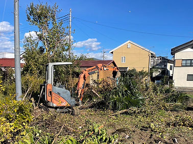 抜根・伐採