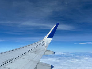 The Flight Cost How Much?