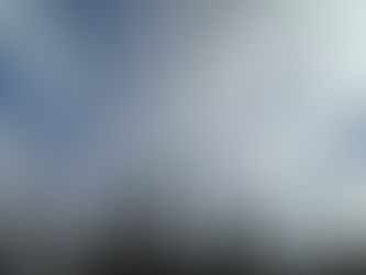 Finding a place to settle