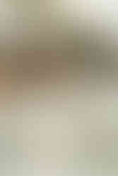 Bride and groom portraits embracing in the fields of their Minnesota wedding venue.