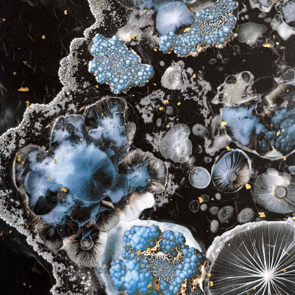 micromonde_9770©Sandrine_Elberg