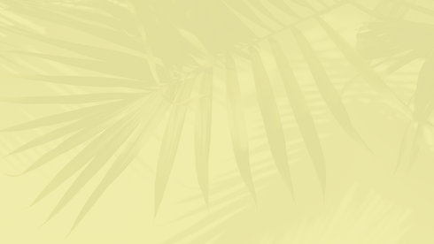 bkg-texture1.png