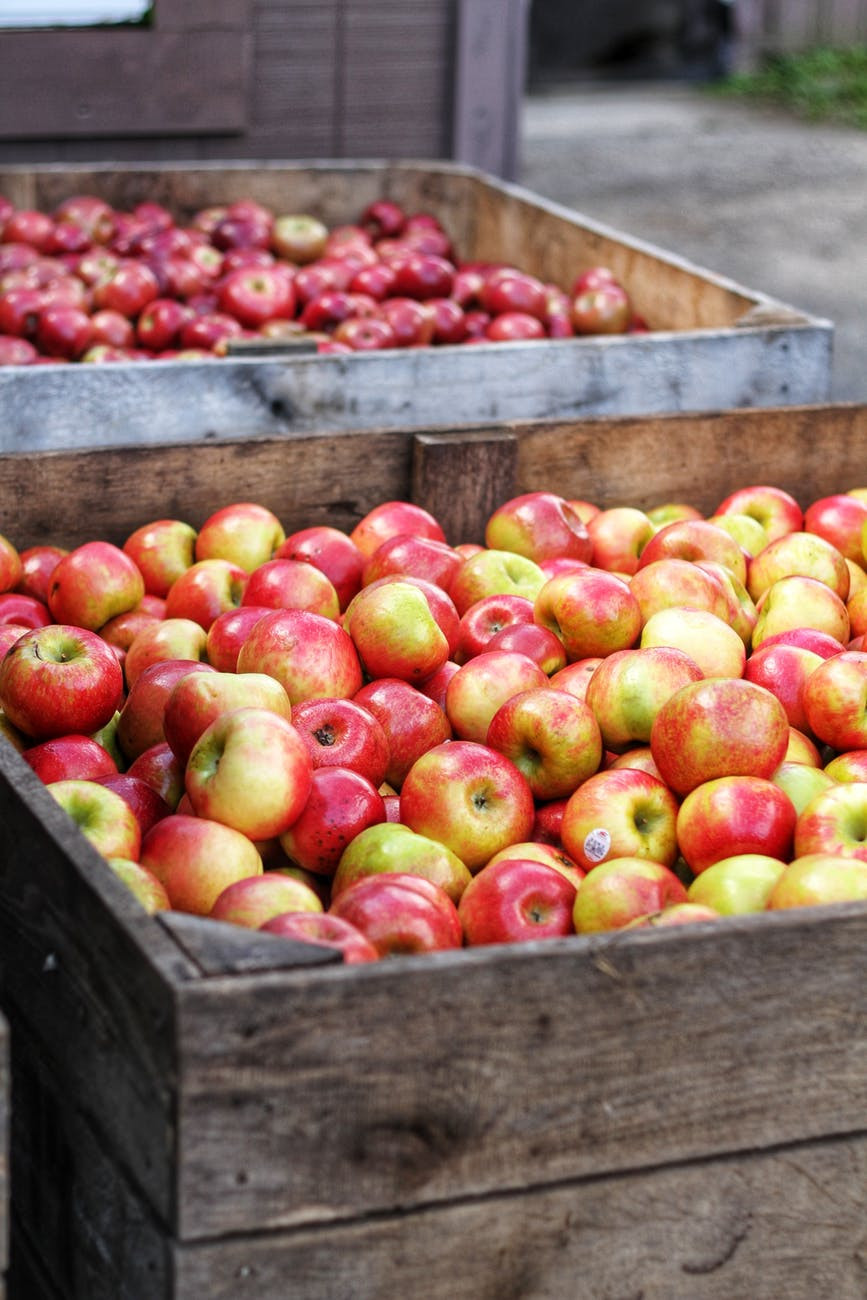 Barrels of Apples