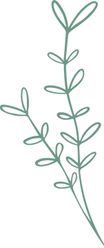 Leaf Icon No Background.png