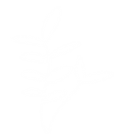 Untitled-3-01.png