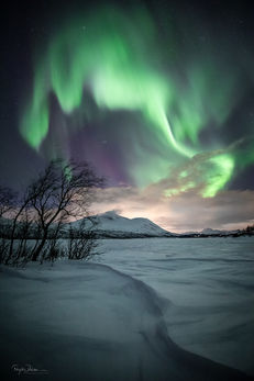 Balsfjord