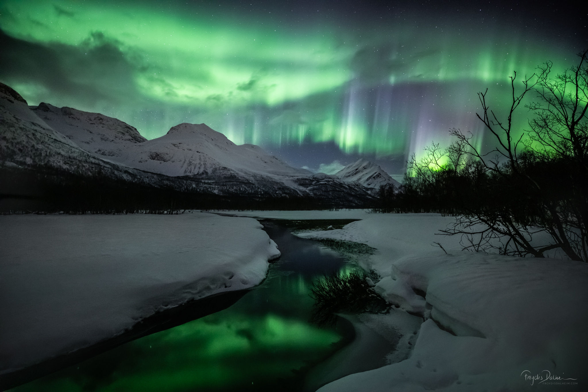 Northern Lights