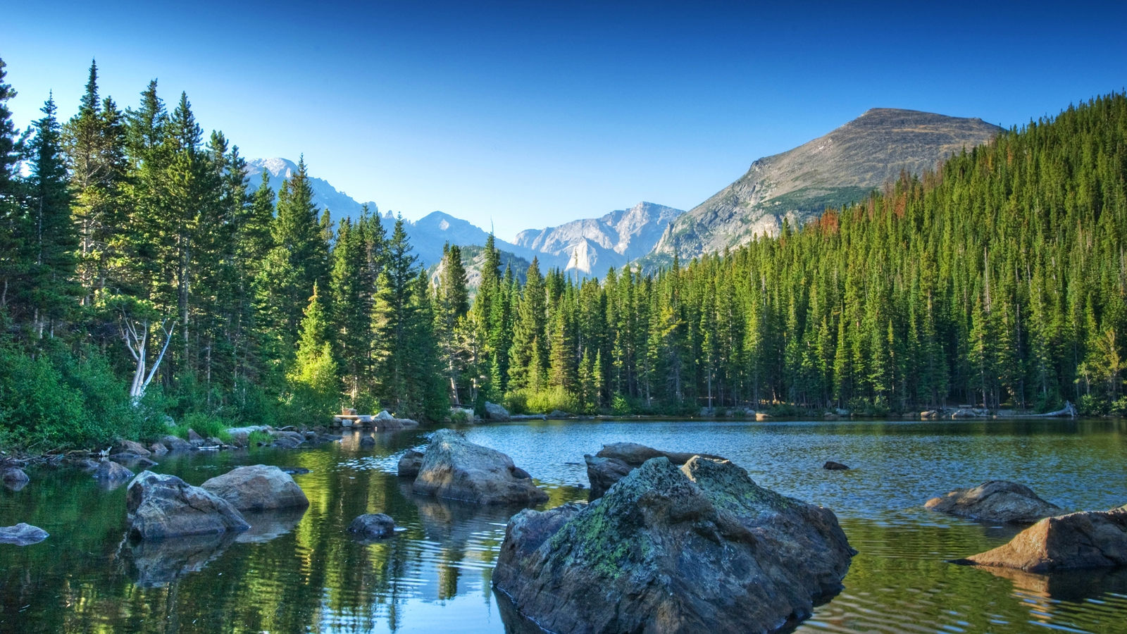 Mountain lake and evergreen forest in Colorado