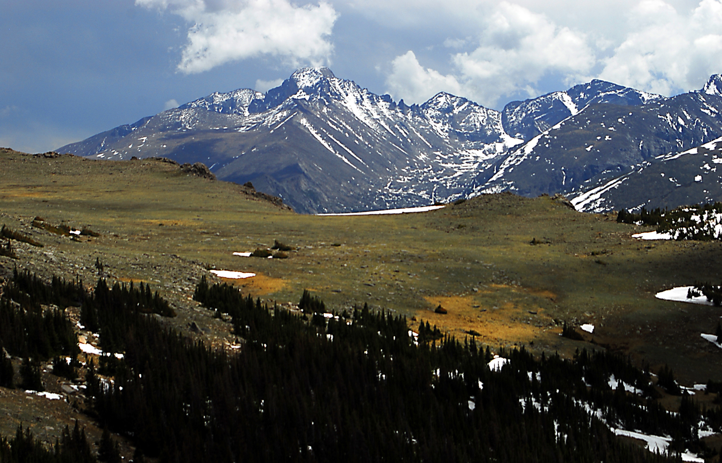 Snow-covered Rocky Mountain peaks above alpine meadows