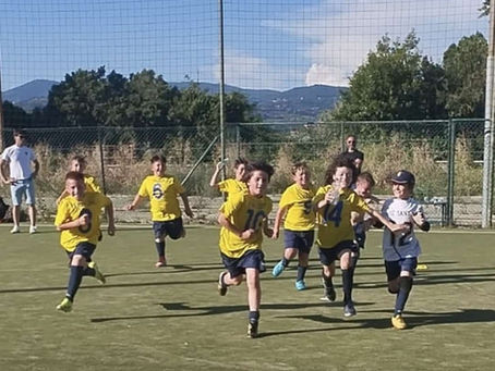 Chiamala Felicità💛💙