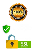 seguro.webp