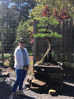 Smith Gilbert Gardens