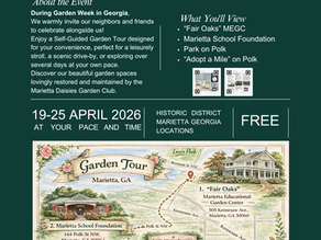 Marietta Daisies Garden Club