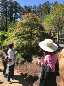 Smith Gilbert Gardens