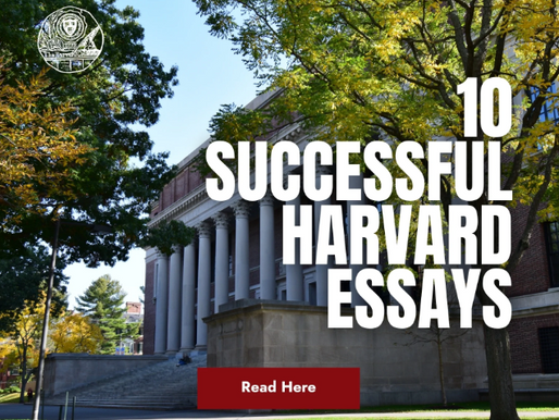 MSquared Reviews a Harvard Student's Essay