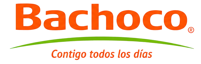 BACHOCO_LOGO-removebg-preview.png