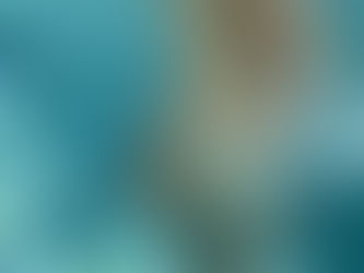 Failed hump day post