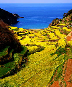 2014-春の浜野浦(最優秀賞).JPG