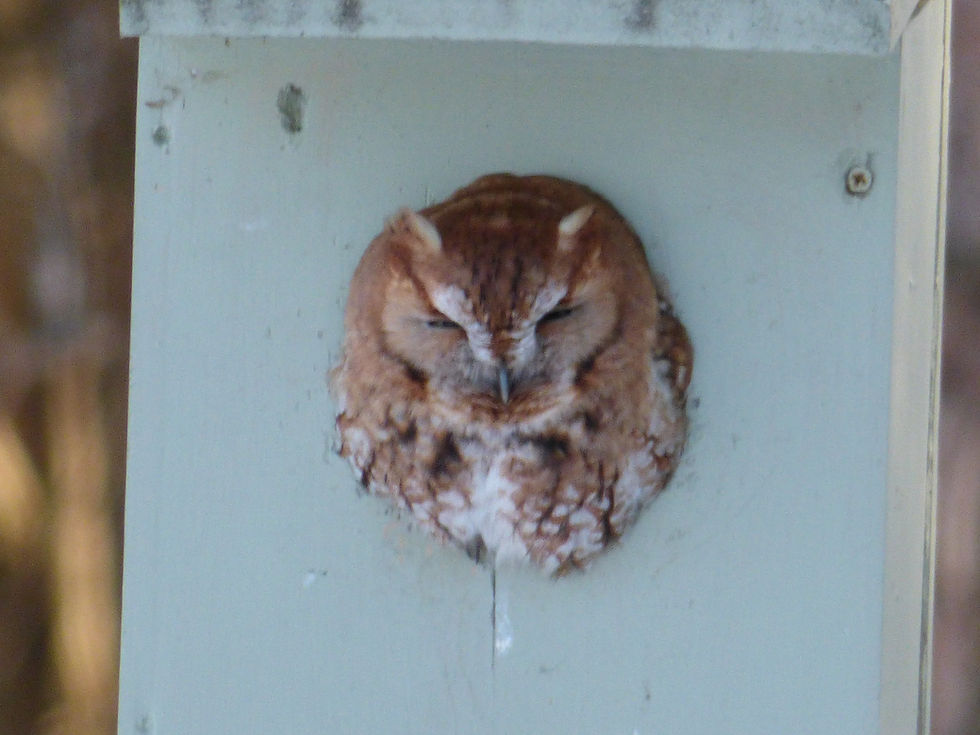 Nature is Full of Surprises