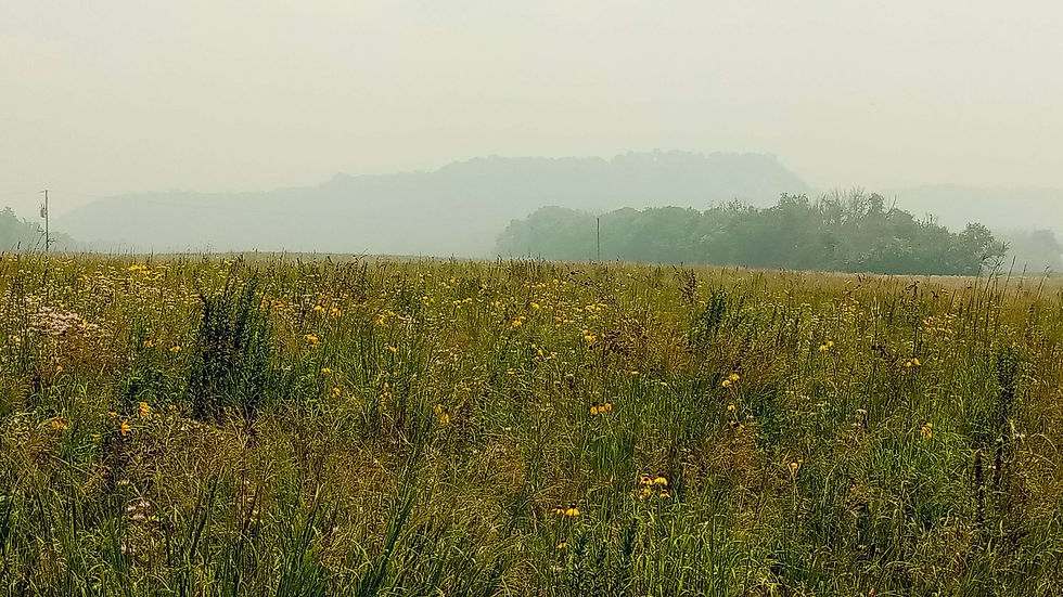 Rattlesnake Bluff Shrouded by Wildfire Smoke
