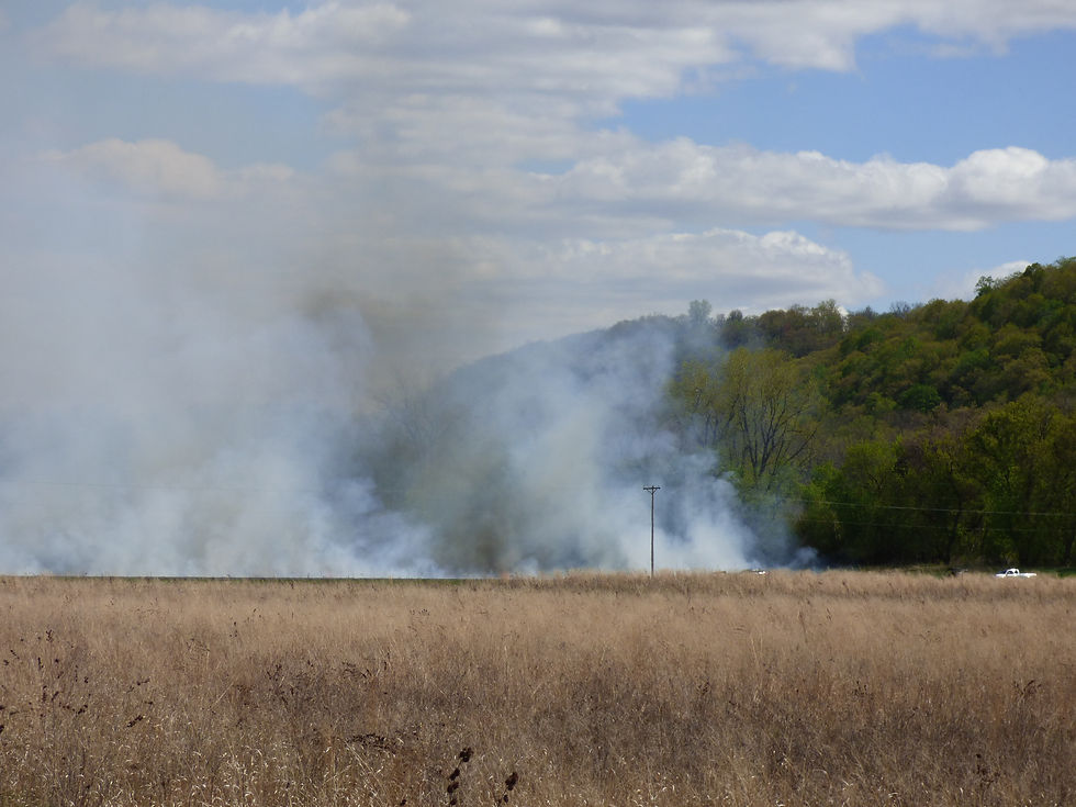 "Climate Change Brings Wild Swings Of Fickle Spring Weather"