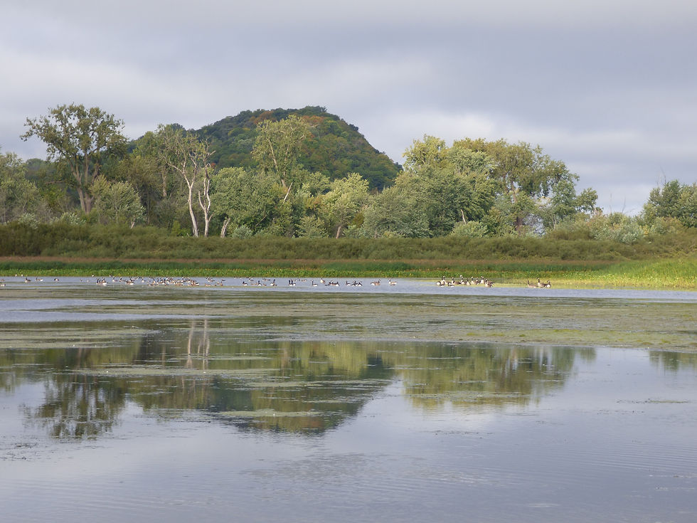 Upper End Of Wacouta Bay