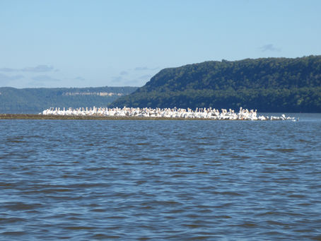 Seasonal Bird Activity In Wacouta