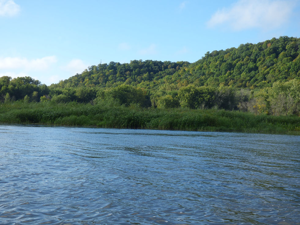 Bullard Creek Delta