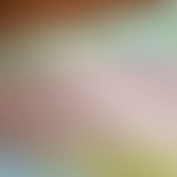 My Quarter-Life Crisis