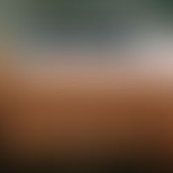 The Classroom After School