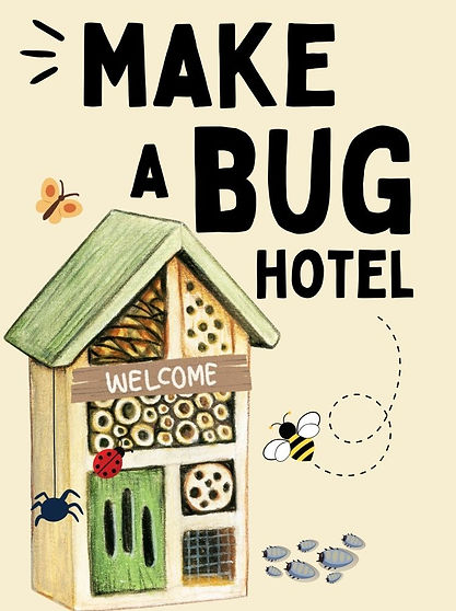 Make a Bug Hotel.jpg