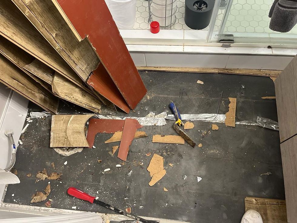 Before and After: Remarkable Transformation by Orange County Cleaning Experts