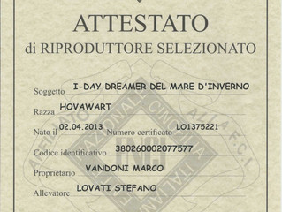 NUOVI TITOLI E RICONOSCIMENTI